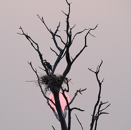 Sunrise - Lake Kariba