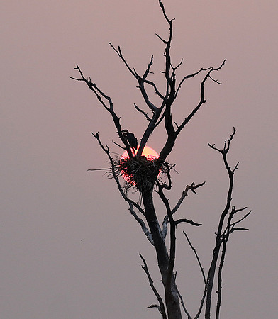 Sunrise - Lake Kariba