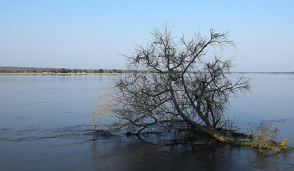 Lower Zambezi - Zambia