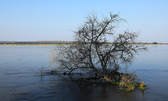 Lower Zambezi - Zambia