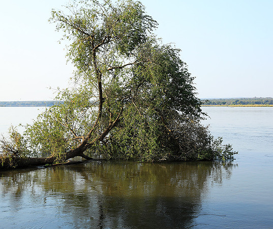 Lower Zambezi - Zambia
