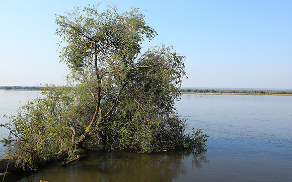 Lower Zambezi - Zambia