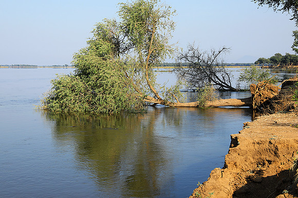 Lower Zambezi - Zambia