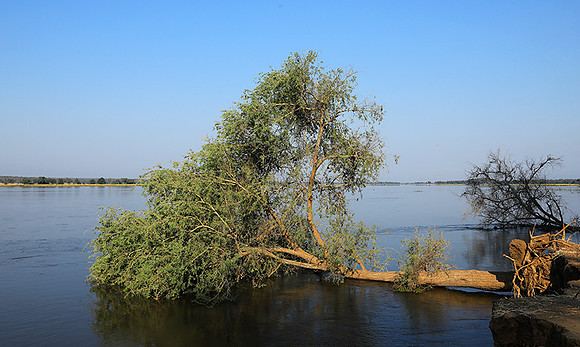 Lower Zambezi - Zambia