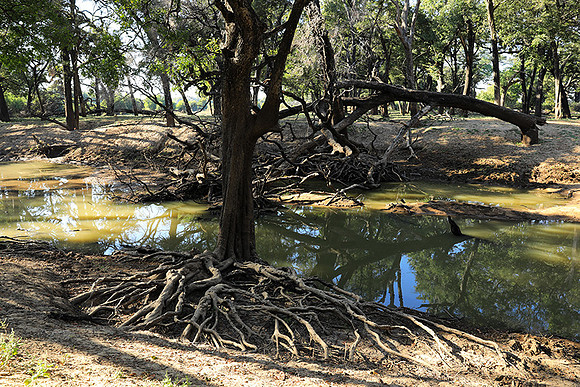 Lower Zambezi - Zambia