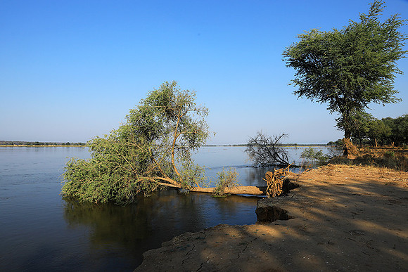 Lower Zambezi - Zambia