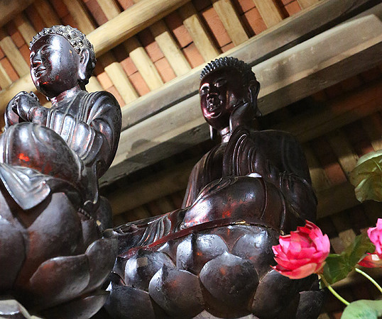 Vietnam - pagoda Thay