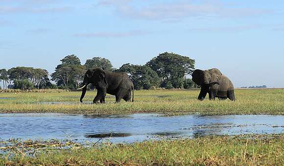 Kafue NP