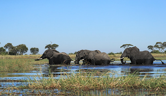 Kafue NP