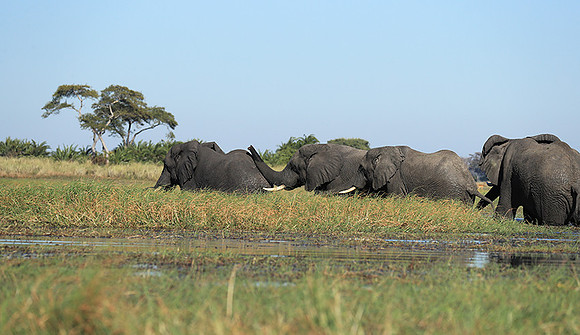 Kafue NP
