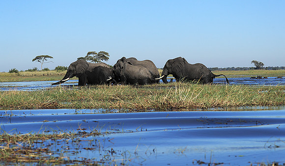 Kafue NP