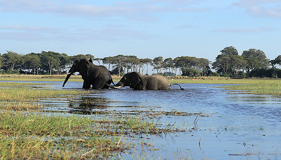 Kafue NP