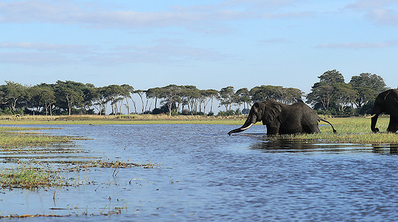 Kafue NP