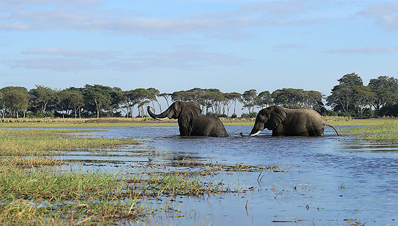 Kafue NP
