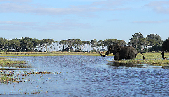 Kafue NP
