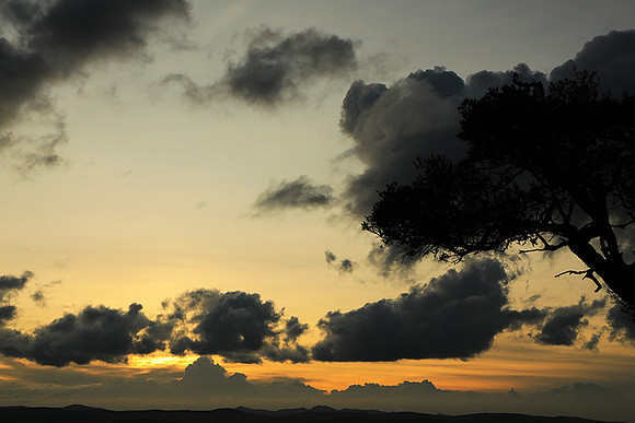 Sunset - Borana