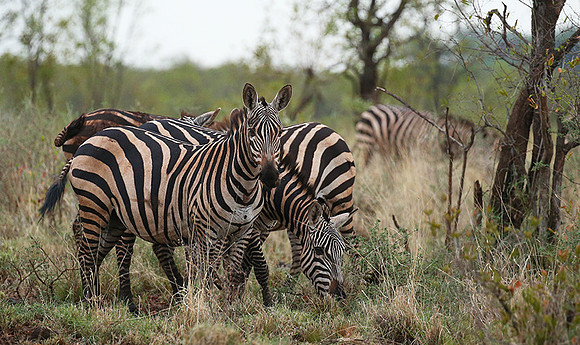 Meru NP