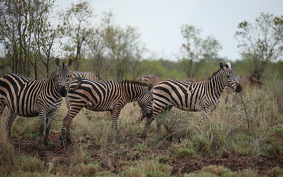 Meru NP