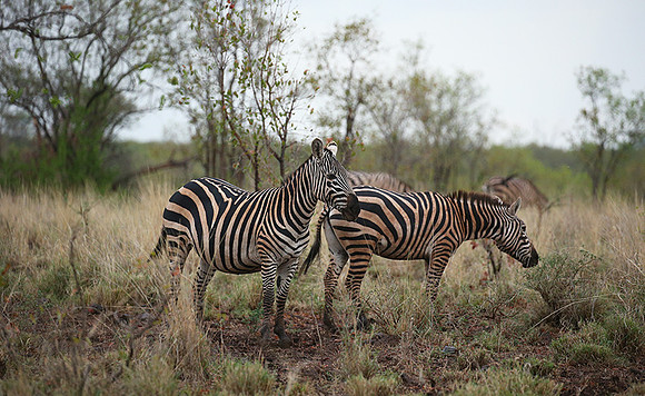 Meru NP