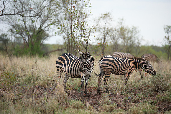Meru NP