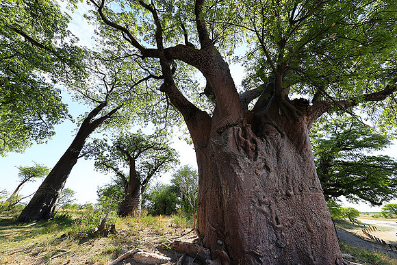 Botswana
