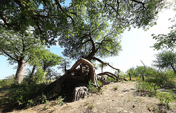 Botswana
