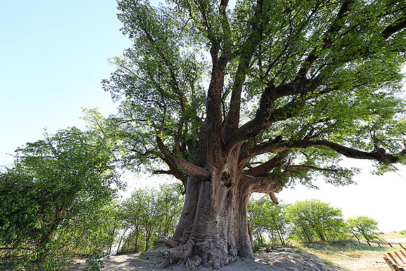 Botswana