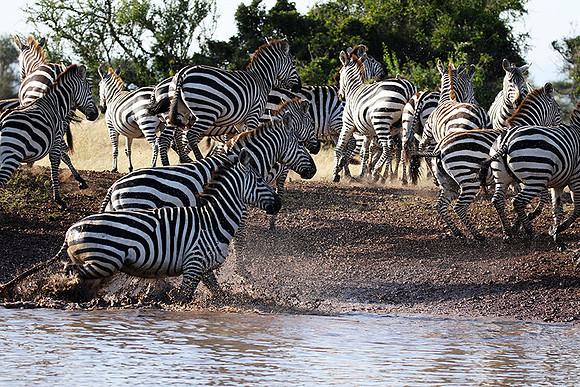 Serengeti - Grumeti Private Reserve