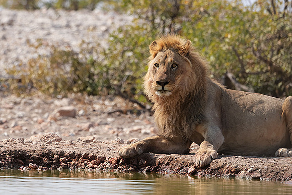 Ongava Private Reserve