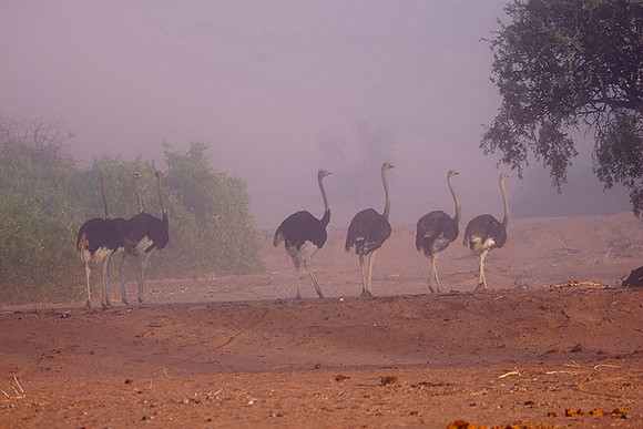 Damaraland