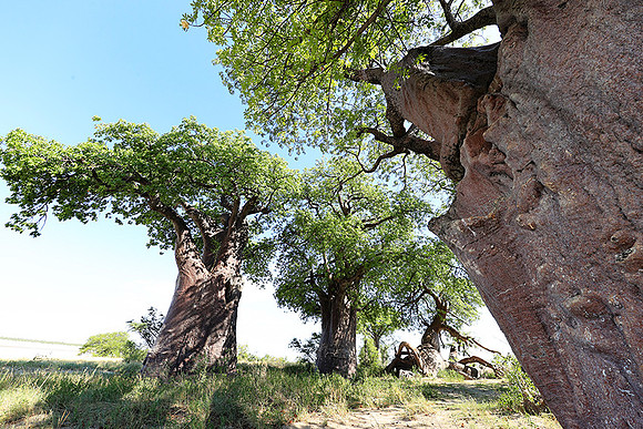Botswana