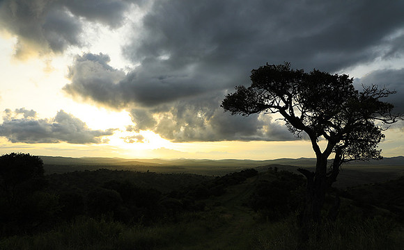 Sunset - Borana