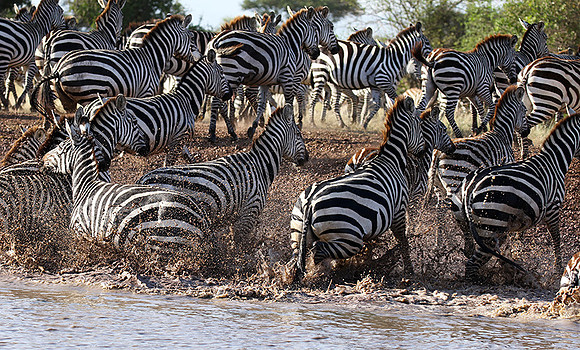 Serengeti - Grumeti Private Reserve