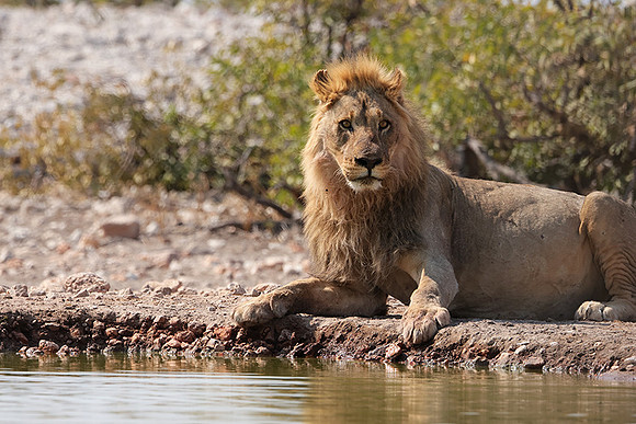 Ongava Private Reserve
