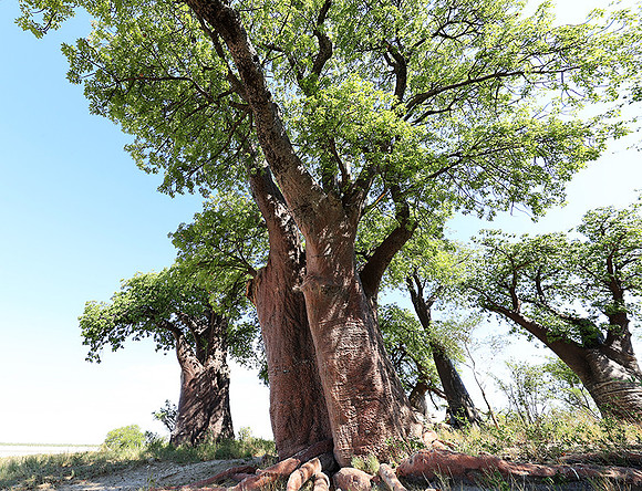 Botswana