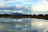 Shompole