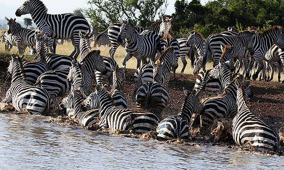 Serengeti - Grumeti Private Reserve