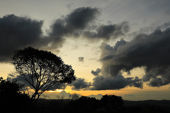 Sunset - Borana