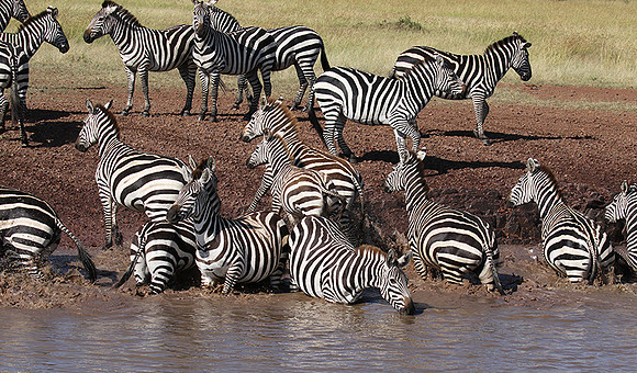 Serengeti - Grumeti Private Reserve