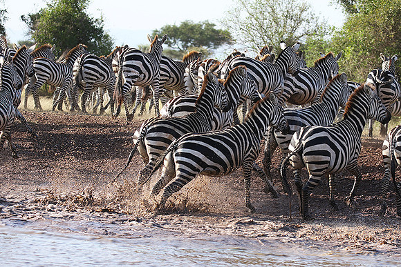 Serengeti - Grumeti Private Reserve