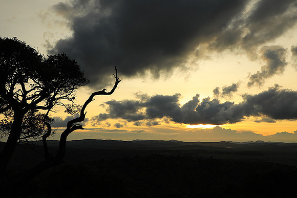 Sunset - Borana