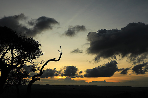 Sunset - Borana