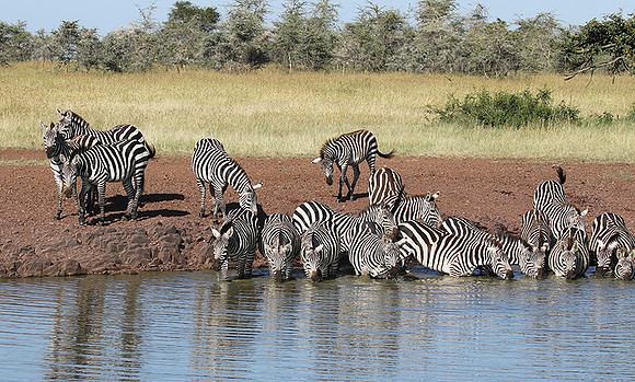 Serengeti - Grumeti Private Reserve
