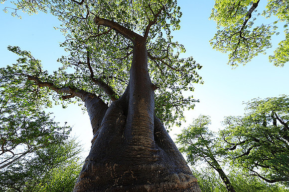 Botswana