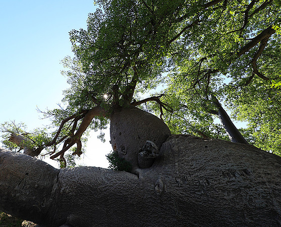 Botswana
