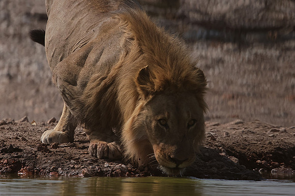 Ongava Private Reserve
