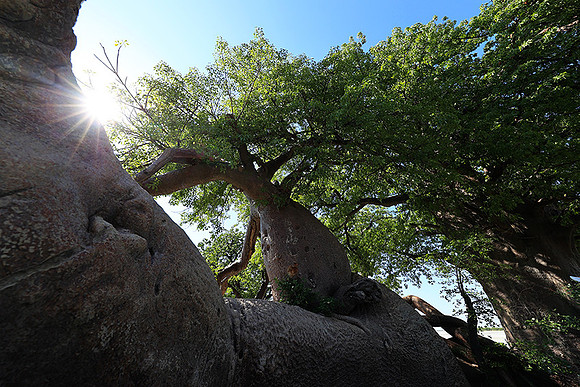 Botswana