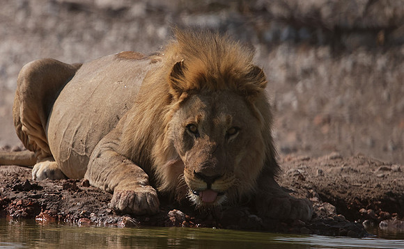 Ongava Private Reserve