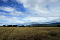 Shompole