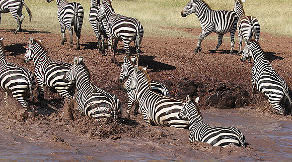 Serengeti - Grumeti Private Reserve